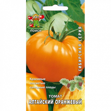 Томат Алтайский оранжевый фото Томат Алтайский оранжевый 